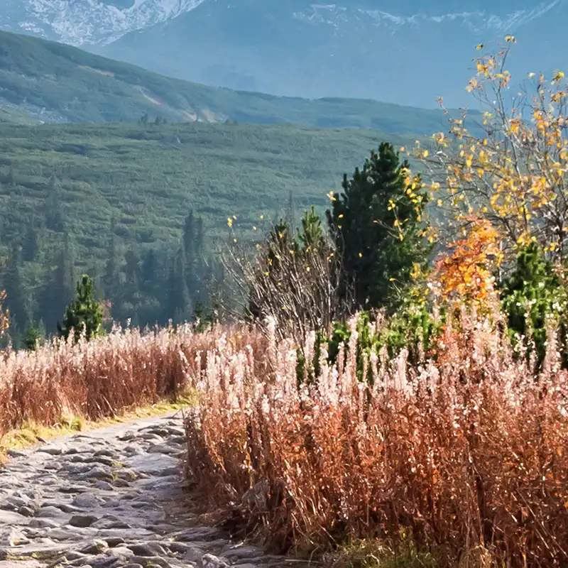 Individual therapy for men and women 4